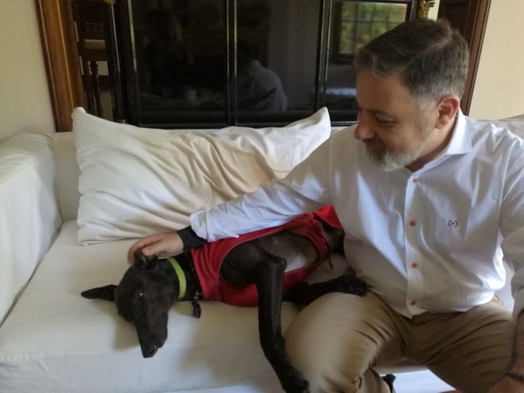 Famosos salieron a defender a los galgos en un Congreso caliente