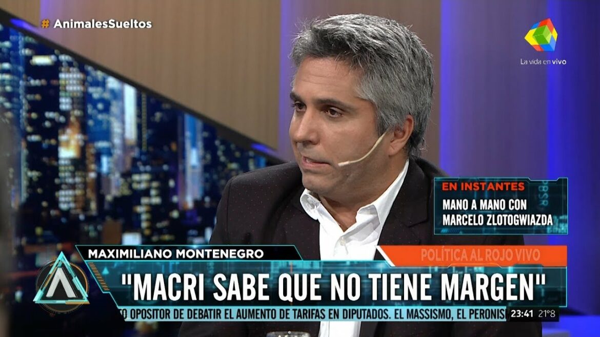 Maxi Montenegro se prepara para volver