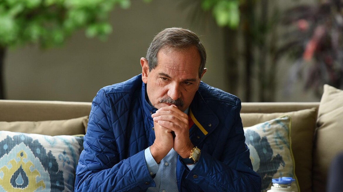 Alberto tuiteó por la violencia de género y lo llenaron de mensajes por Alperovich
