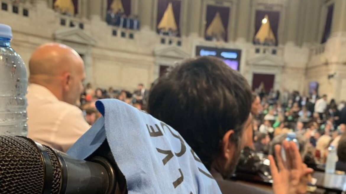 Quién fue la única diputada con pañuelo celeste en el Congreso