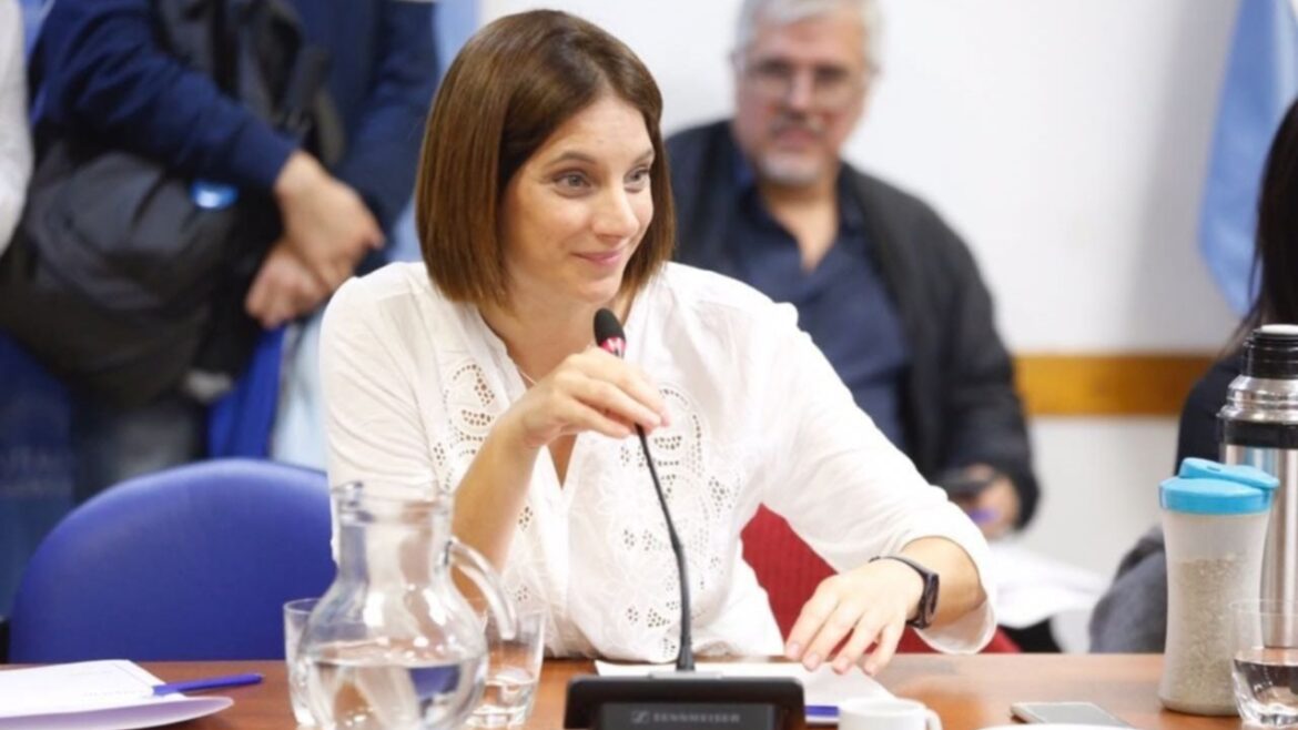 Quién es la Laura Alonso camporista: por ahora sobrevive al escándalo de los alimentos
