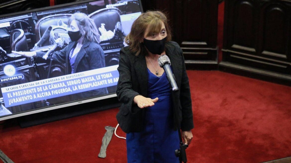 Qué dijo al jurar la reemplazante del diputado Ameri