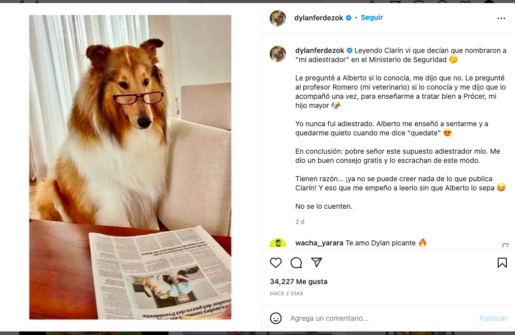 El insólito mensaje de Dylan por su adiestrador