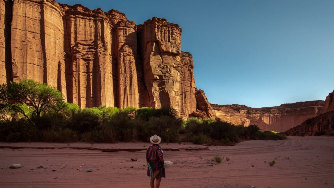 La Ruta Natural: los mejores destinos de naturaleza de Argentina en una nueva web