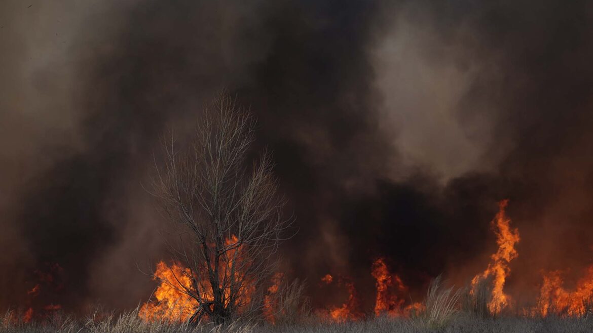 La reacción de los famosos ante el humo que afectó a la Ciudad y la Provincia
