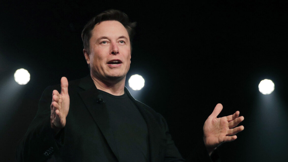 Musk perdió su propia encuesta