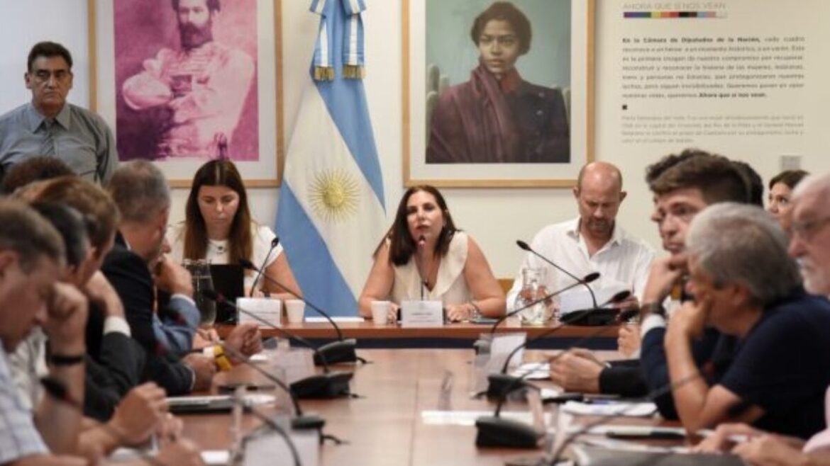 Diputados: una comisión trató juicios laborales y trabajo en negro