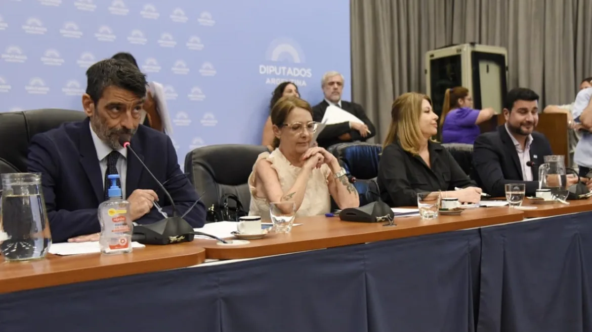 Dictamen en Diputados para fortalecer la justicia penal de Santa Fe