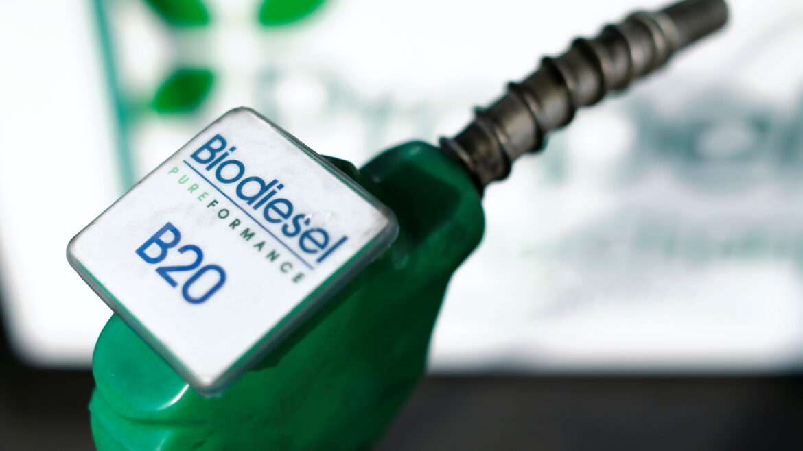 Desmienten una vinculación de los biocombustibles con la suba de las naftas