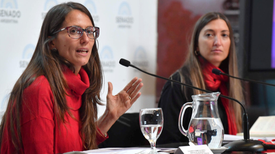Fuertes críticas al plan "MenstruAr”