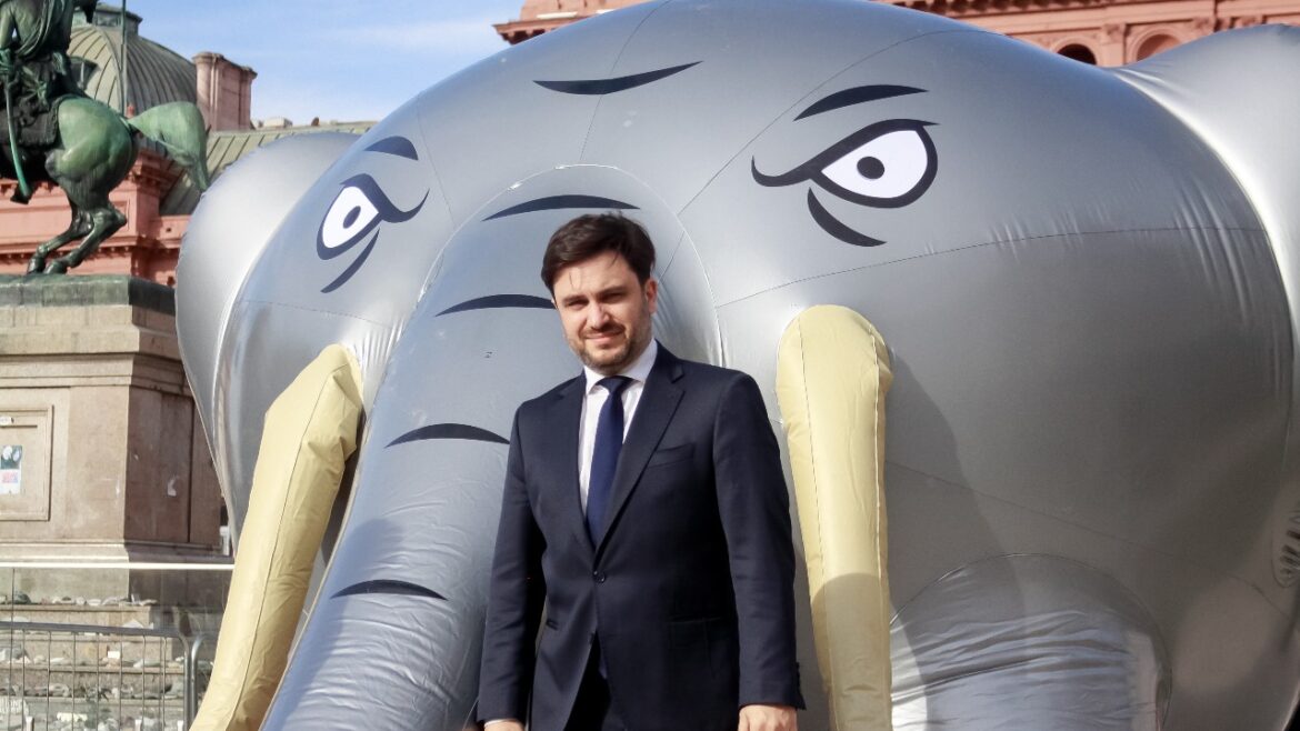 Ramiro Marra hizo la gran Albamonte, el ex diputado que usó un elefante para hacer campaña