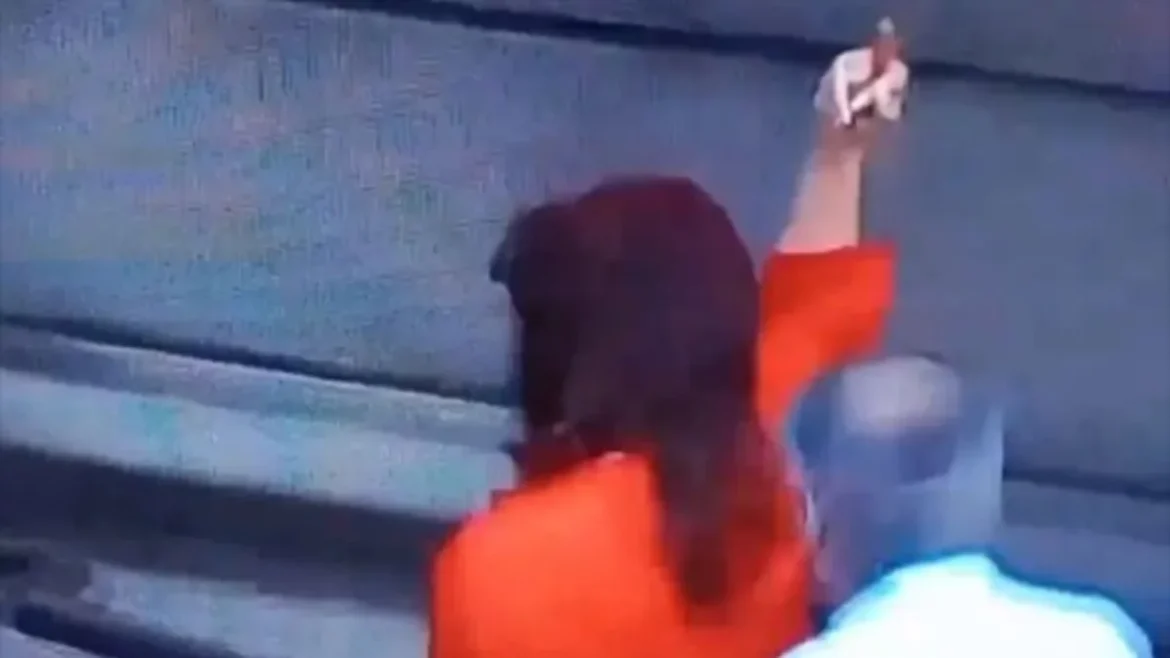 Cristina hizo un gesto obsceno en su última entrada al Senado