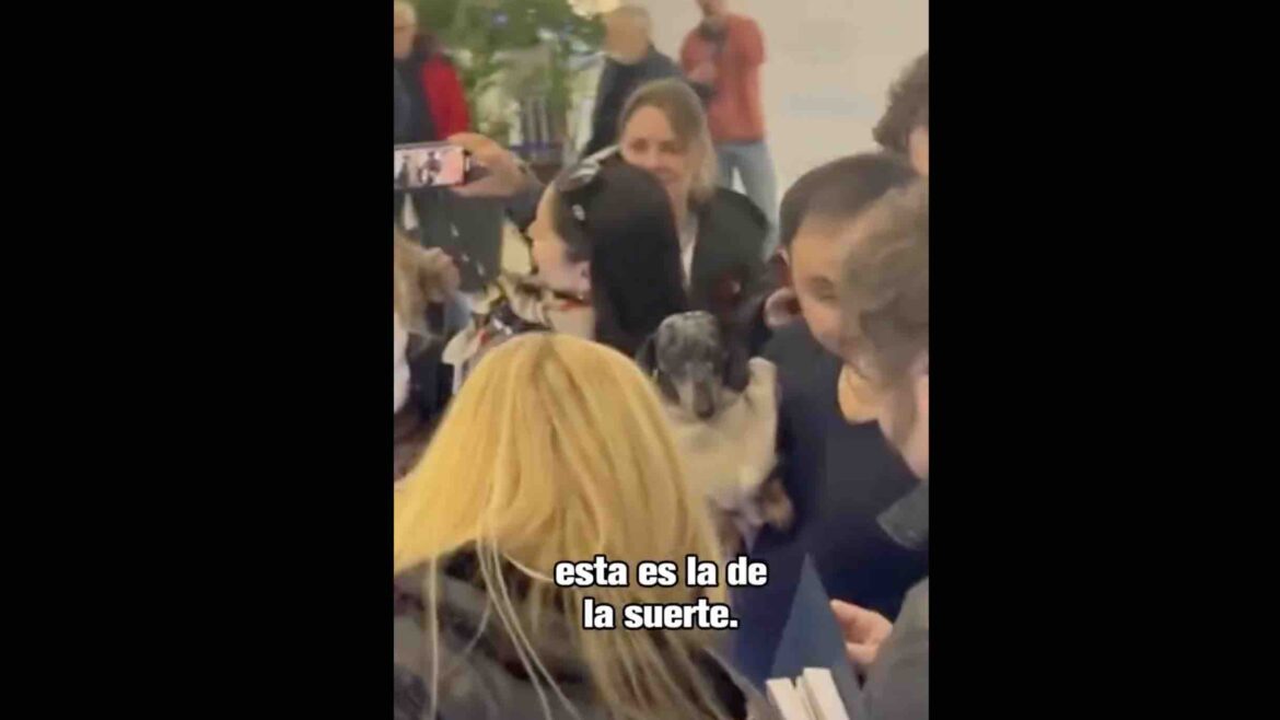 Un salchicha se coló en el recibimiento a Milei en Suiza