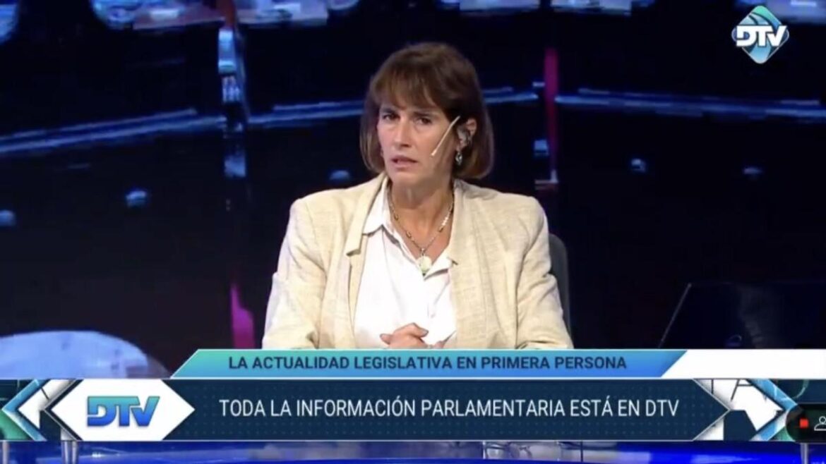 Martín Menem se desentiende de la censura a una periodista en Diputados TV