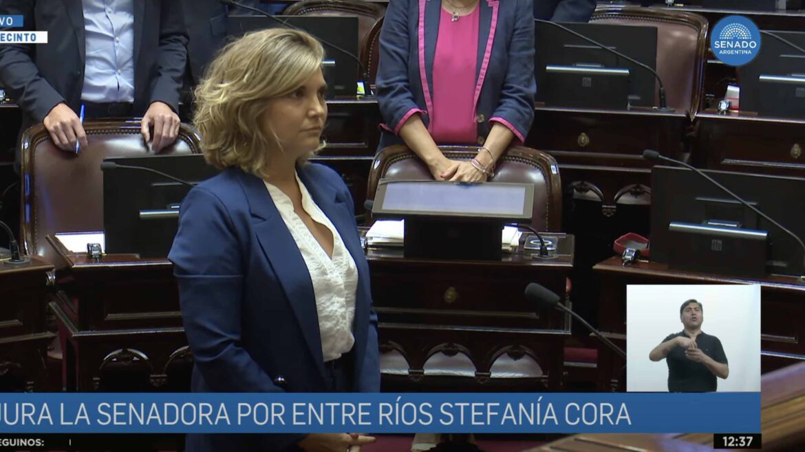 Pese a la polémica, juró una camporista como reemplazante de Kueider