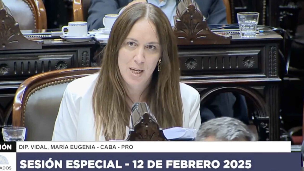 Vidal dijo que el PRO "nunca tendrá condenados" y le contestó a Tailhade