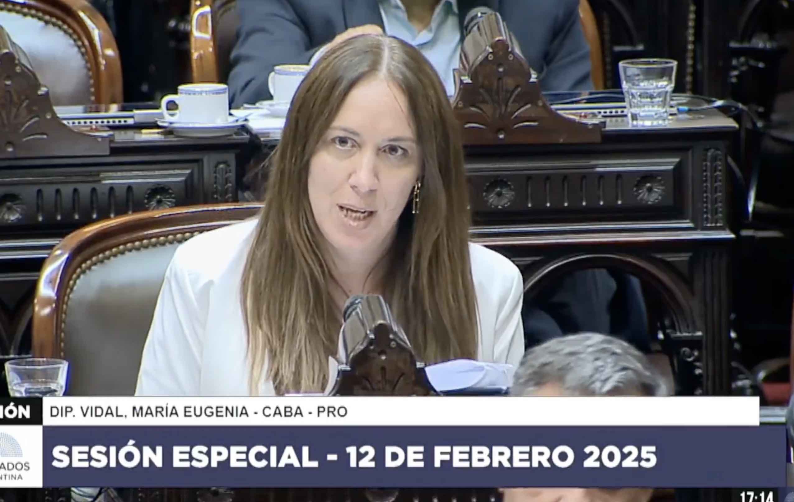 Vidal dijo que el PRO "nunca tendrá condenados" y le contestó a Tailhade