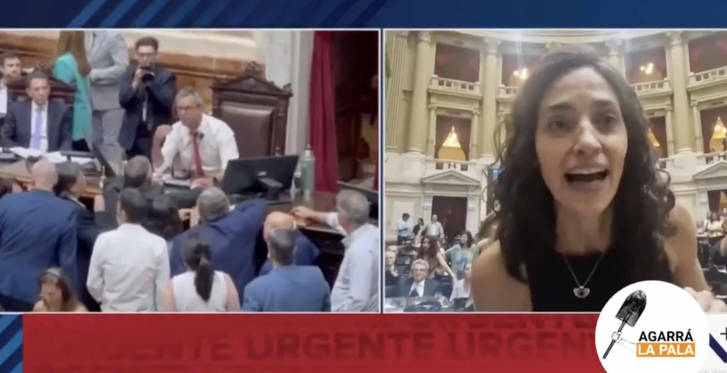 "Está más dura que una piedra": una diputada K se fue al pasto