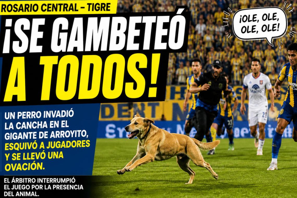 Un perro gambeteó a dos equipos en Rosario